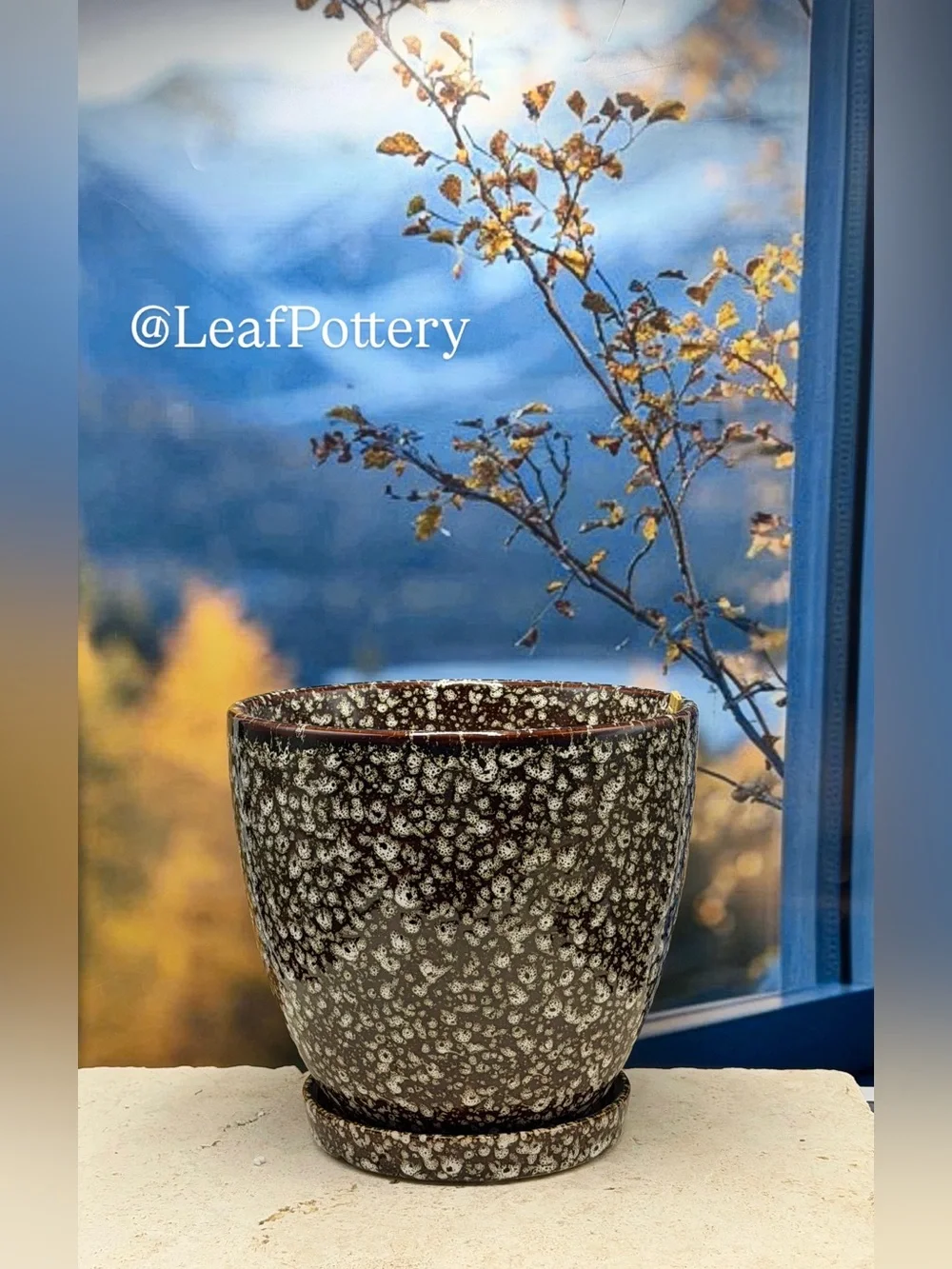 8 Inch Ceramic Planter with Attached Saucer & Drainage Hole | Speckled Brown Pot